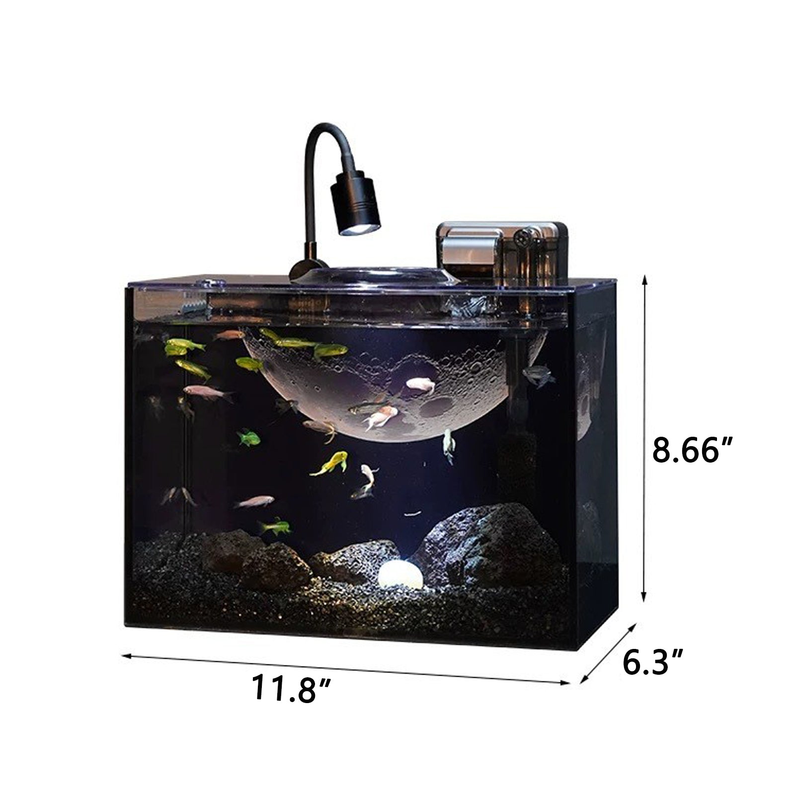 VNEKVA 2.5Gal Desktop Fish Tank Kit – Ultra Clear Glass Aquarium with USB Filter, USB Aquarium Light & Complete Aquascape Set