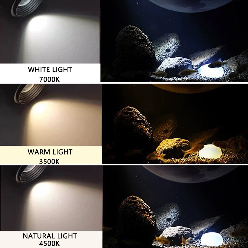 VNEKVA 2.5Gal Desktop Fish Tank Kit – Ultra Clear Glass Aquarium with USB Filter, USB Aquarium Light & Complete Aquascape Set