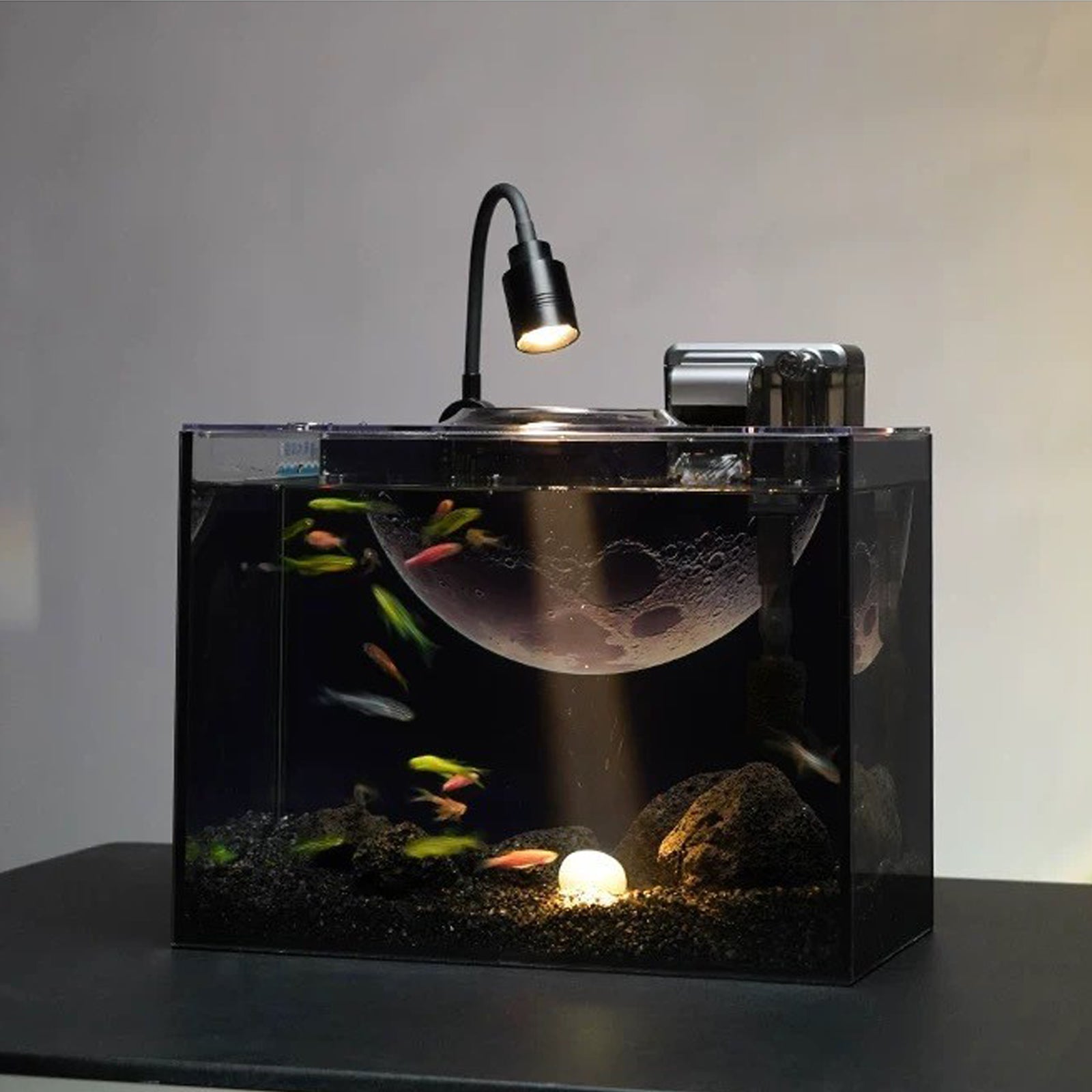 VNEKVA 2.5Gal Desktop Fish Tank Kit – Ultra Clear Glass Aquarium with USB Filter, USB Aquarium Light & Complete Aquascape Set