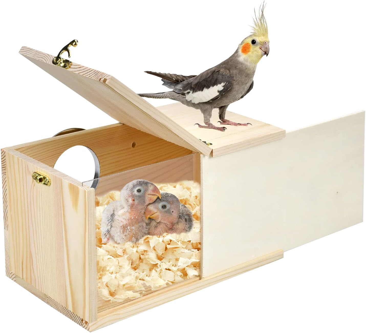FINAQUA Parakeet Nesting Box, Natural Pine & Acrylic with Detachable Board, for Budgie, Cockatiel, Small Parrots, Lovebirds & Conures (10.6"×5.9"×5.9")