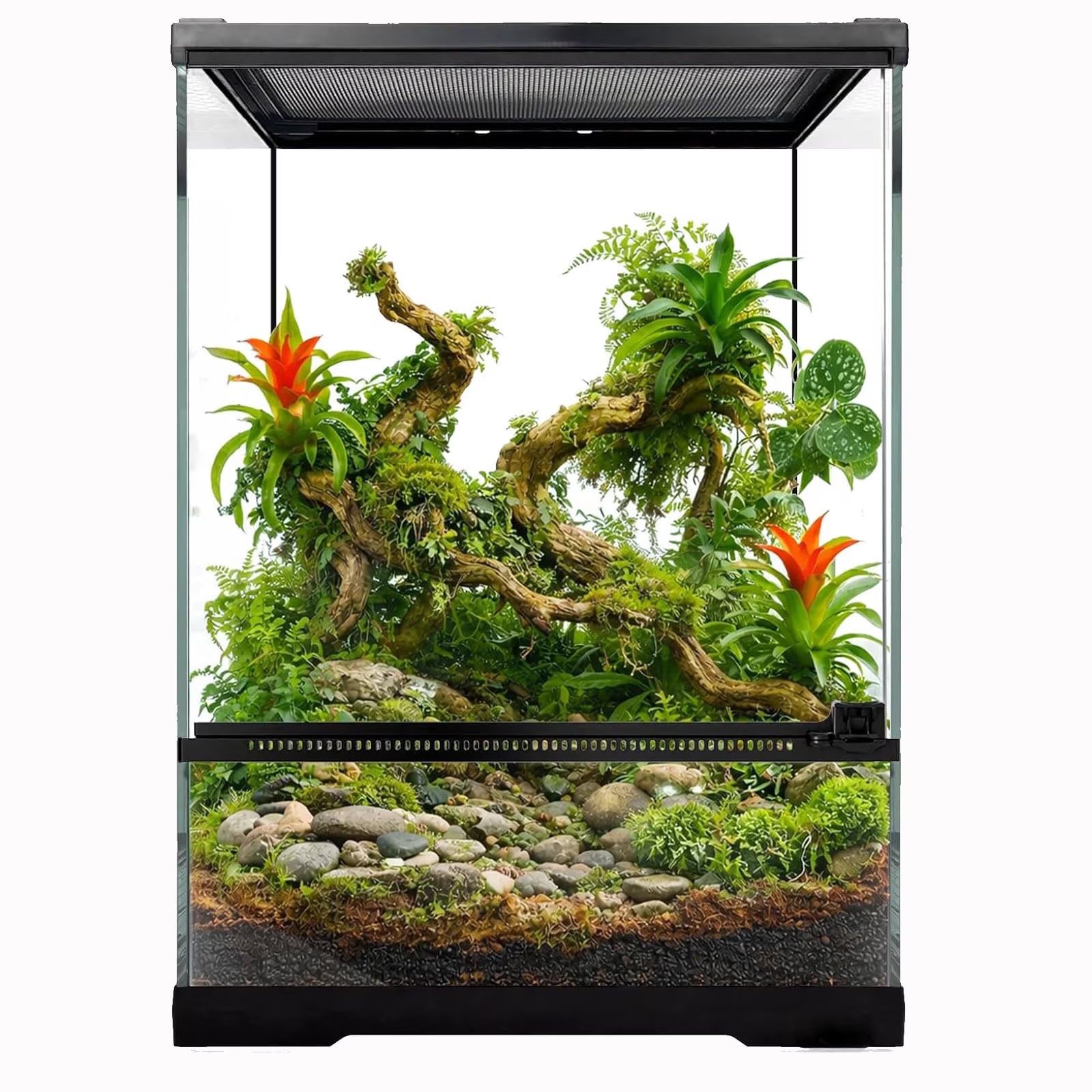 VNEKVA Single Door Glass Reptile Enclosure, 12"x12"x18" Rainforest Habitat for Gecko, Chameleon & Tree Frog, Waterproof Base & Full Ventilation