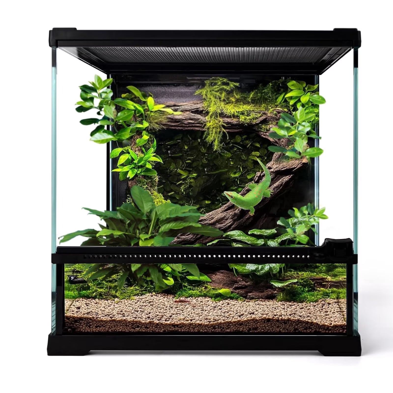 VNEKVA 18"x12"x18" Single Door Glass Reptile Terrarium, Rainforest Enclosure with Waterproof Base & Ventilation for Gecko, Chameleon & Tree Frog