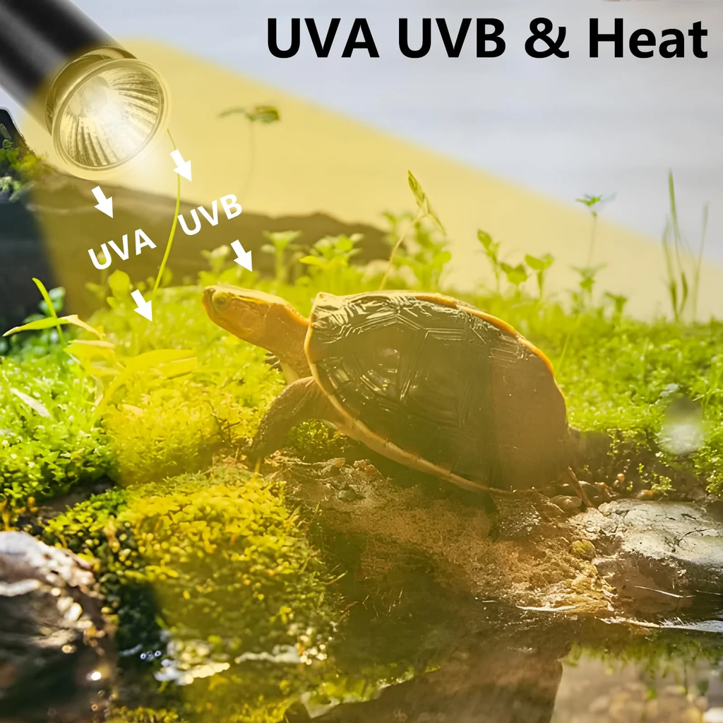 FINAQUA UVA/UVB Turtle Heat Lamp with Timer, 2-Pack 50W Basking Bulbs for Tortoise & Reptiles