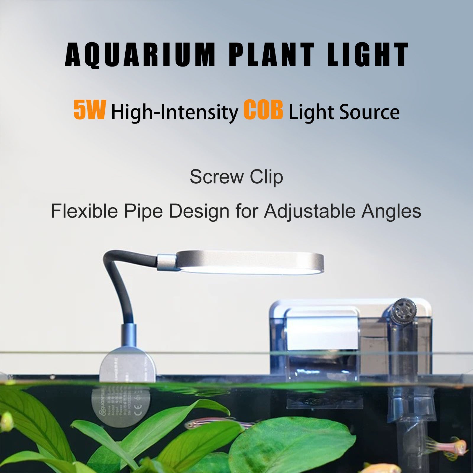 2.5 Gallon Rimless Desktop Fish Tank Kit, Ultra-Clear Aquarium with USB Light and Filter, Ideal for Betta, Shrimp, and Small Fish, Basic Black Version