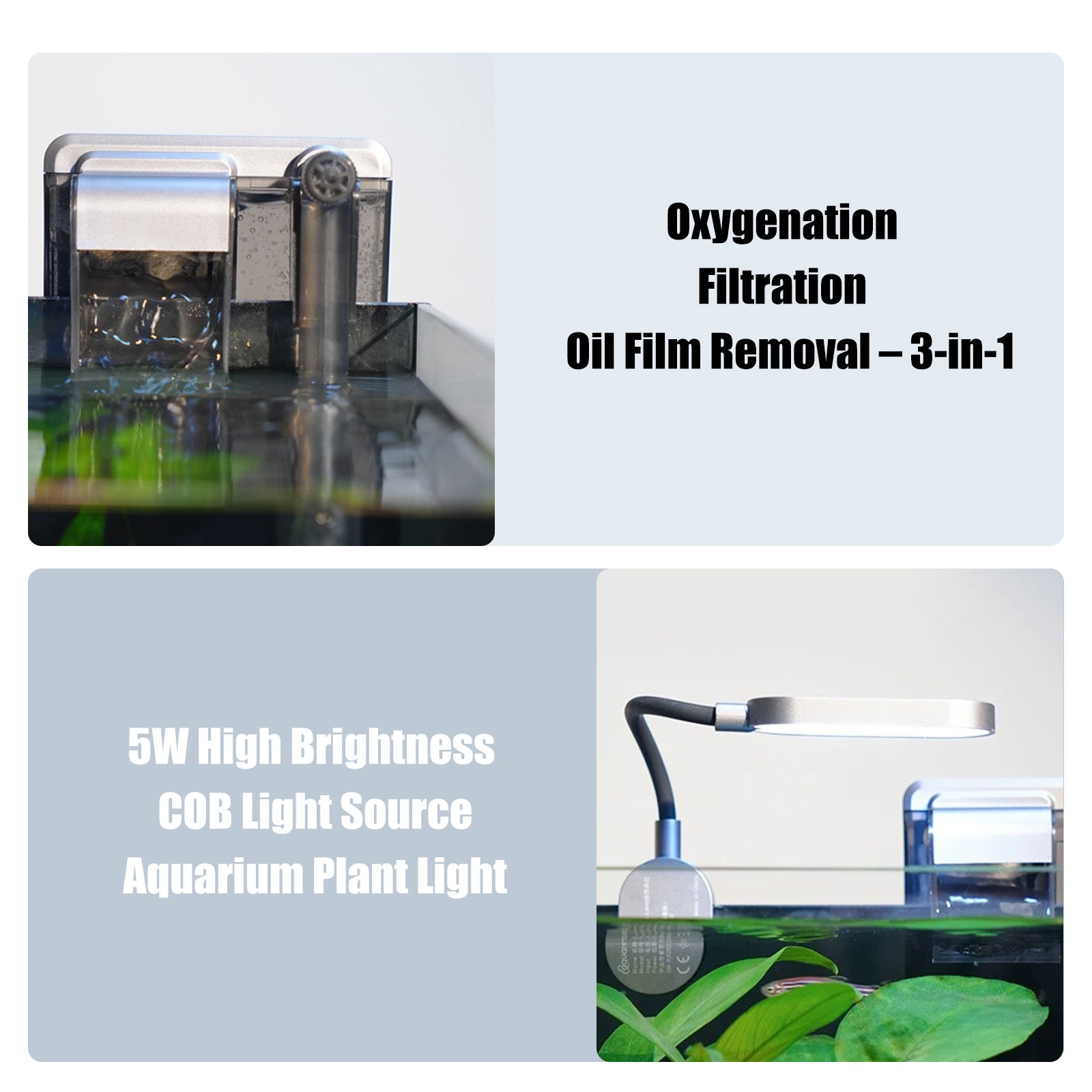 2.5 Gallon Rimless Desktop Fish Tank Kit, Ultra-Clear Aquarium with USB Light and Filter, Ideal for Betta, Shrimp, and Small Fish, Basic Black Version