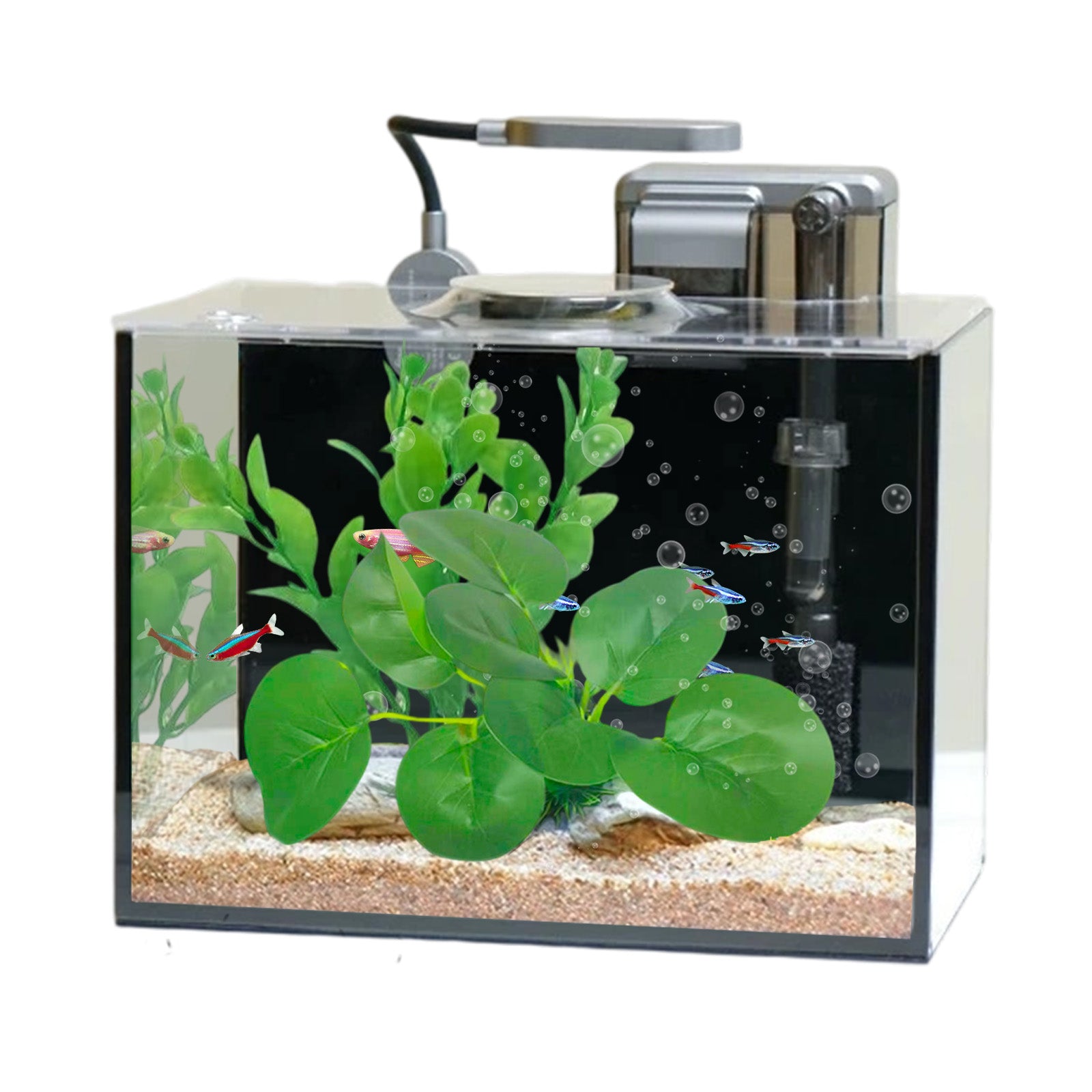 2.5 Gallon Rimless Desktop Fish Tank Kit, Ultra-Clear Aquarium with USB Light and Filter, Ideal for Betta, Shrimp, and Small Fish, Basic Black Version