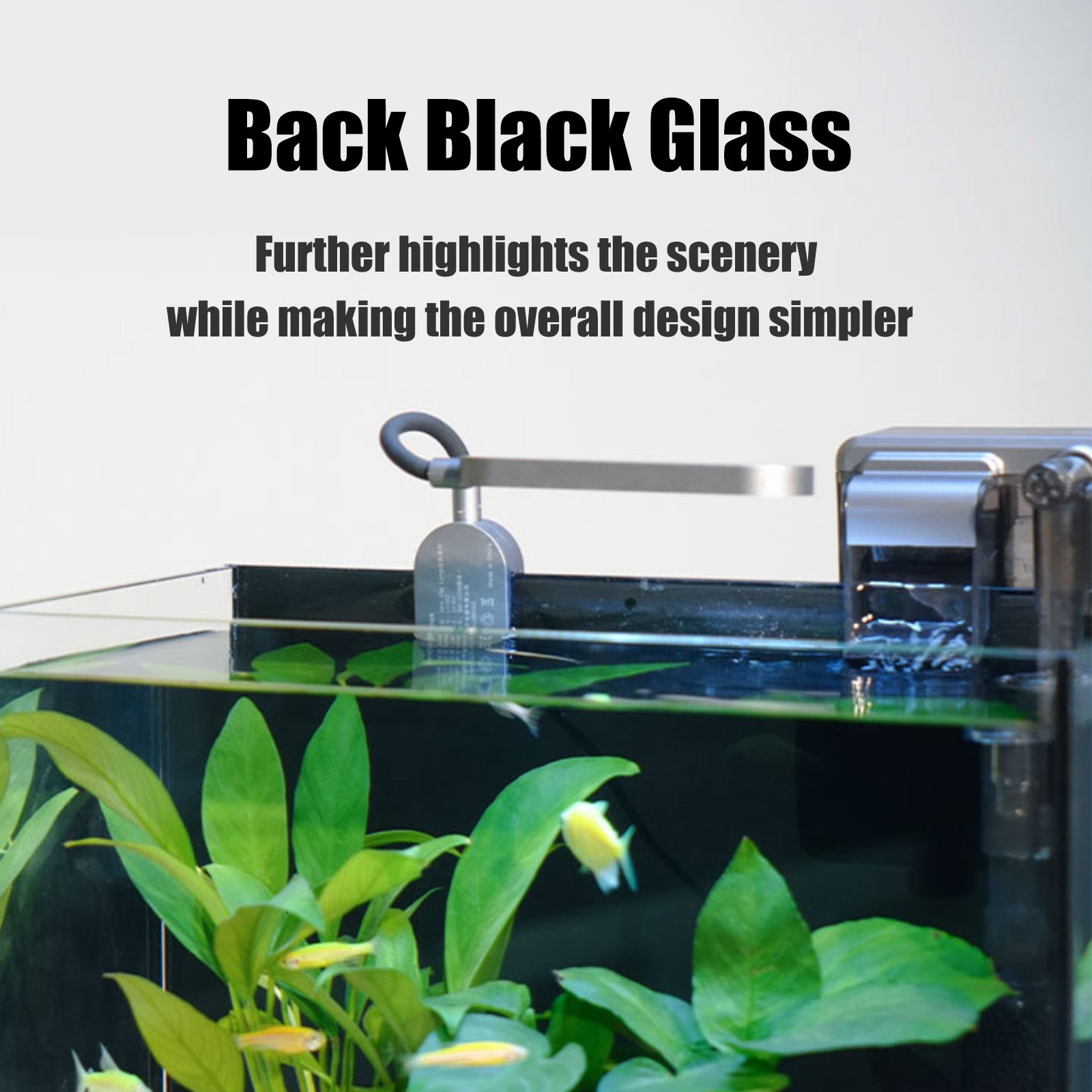 2.5 Gallon Rimless Desktop Fish Tank Kit, Ultra-Clear Aquarium with USB Light and Filter, Ideal for Betta, Shrimp, and Small Fish, Basic Black Version