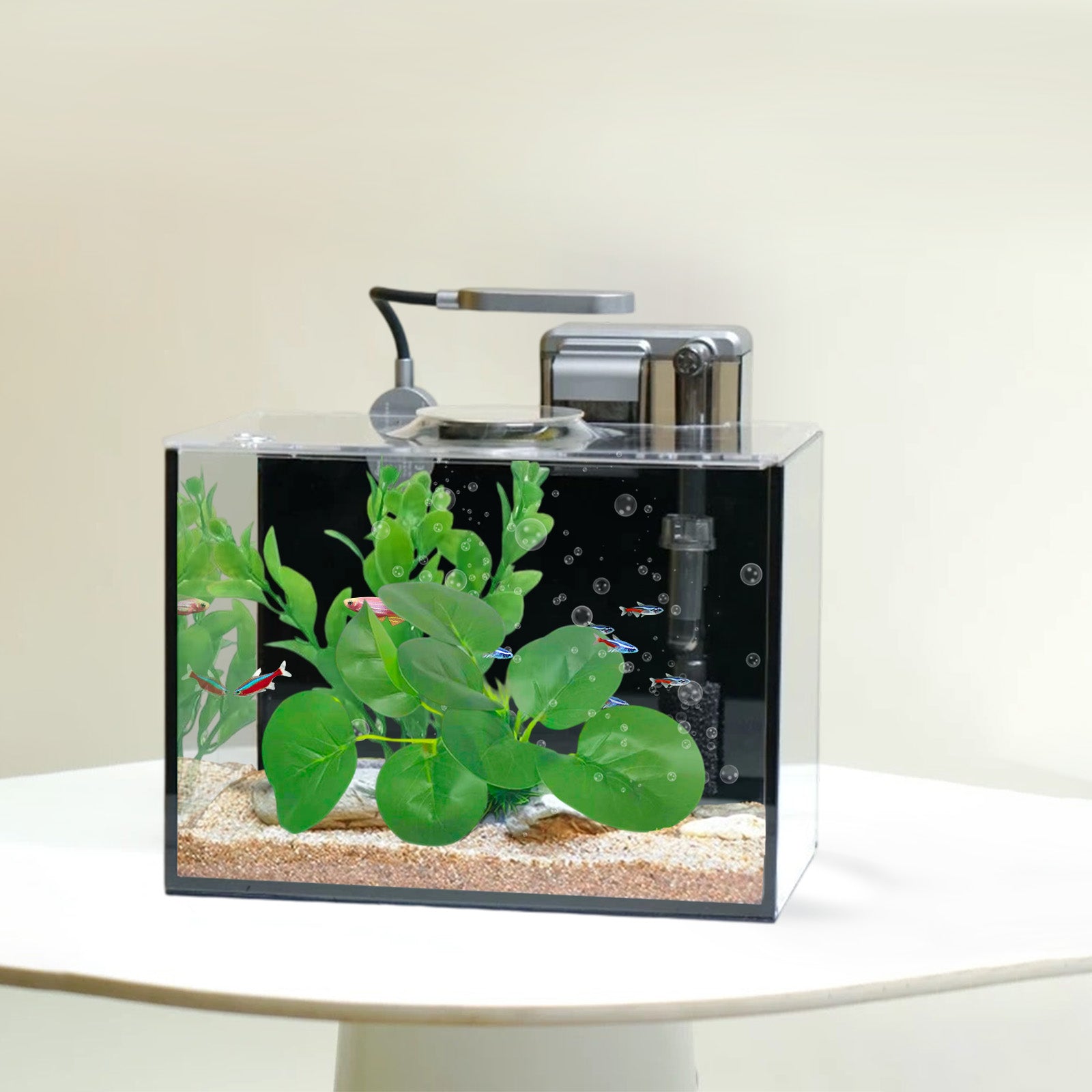 2.5 Gallon Rimless Desktop Fish Tank Kit, Ultra-Clear Aquarium with USB Light and Filter, Ideal for Betta, Shrimp, and Small Fish, Basic Black Version