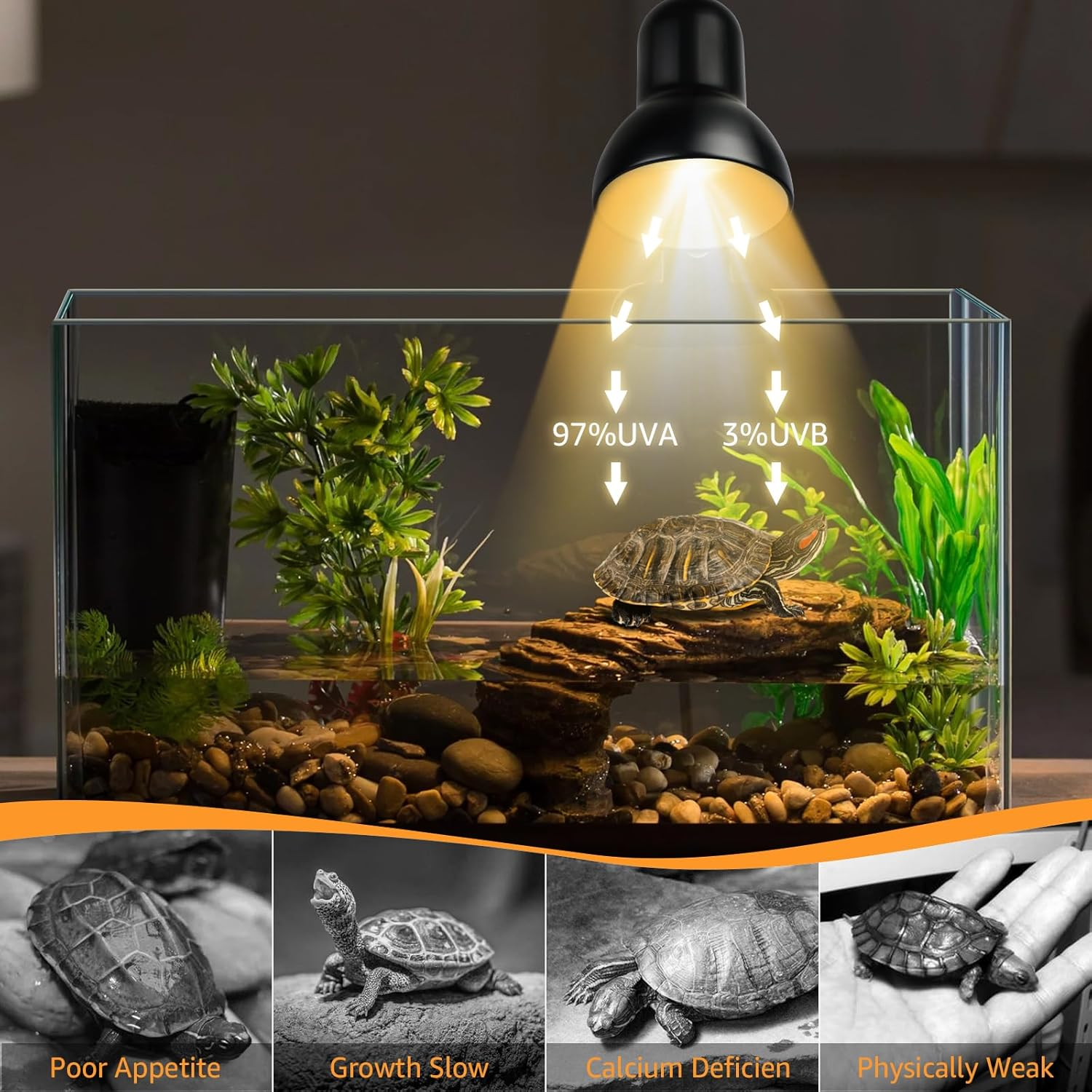 VNEKVA Reptile Heat Lamp with Timer, UVA/UVB Bulbs, Heating Light for Turtle, Lizard, Snake – 2 Bulbs