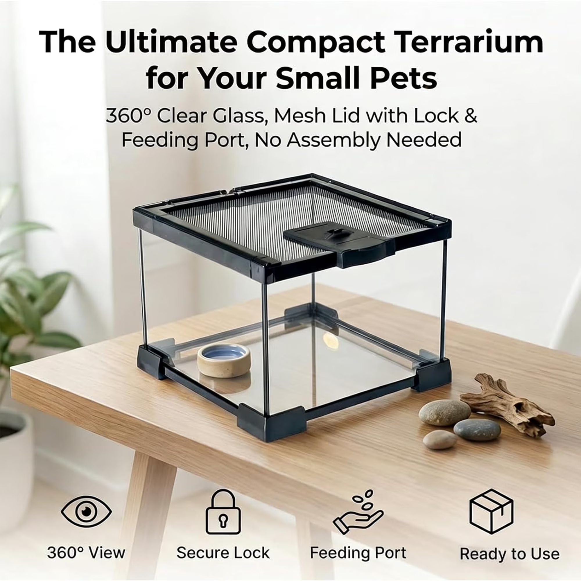 VNEKVA Small Glass Terrarium with Lockable Top, 8*8*6IN Reptile Tank for Geckos, Lizards, Snakes, Turtles & Amphibians