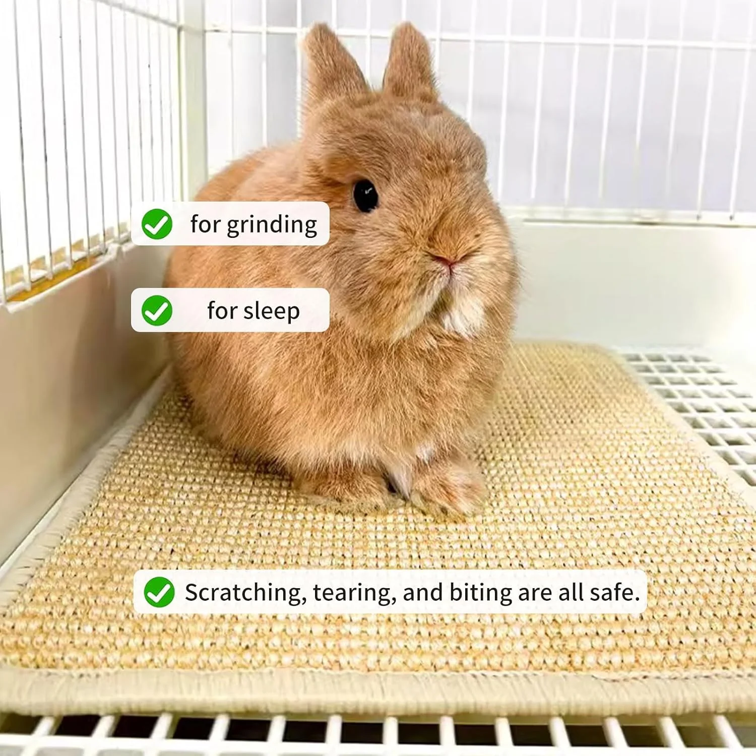 FIAQUA 2PCS Rabbit Scratch Mat, 16x12in Natural Bunny Scratching Pad, Claw & Teeth Care for Bunnies, Multi-Use Mat for Rabbit Cages - Chew Toy, Bedding, Sleeping & Nesting