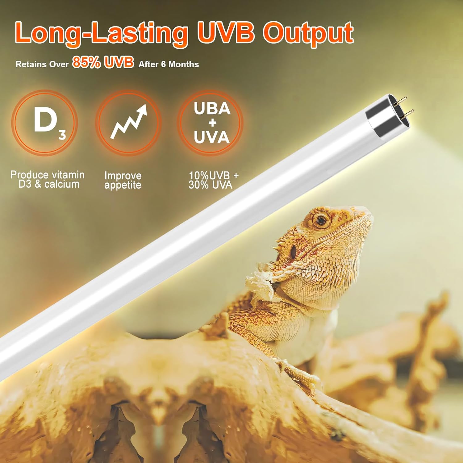 VNEKVA T5 10.0 UVB Reptile Light Combo Kit 8W - 12" Terrarium Hood with Desert Lamp for Gecko, Tortoise & Lizard