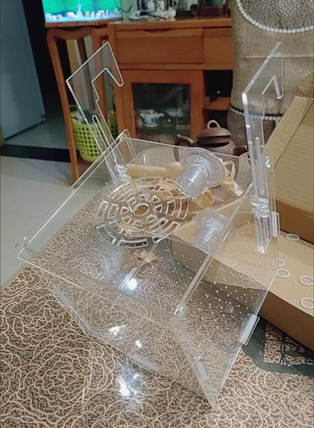 FINAQUA Acrylic Fish Breeding Box, Fish Isolation Box, Aquarium Fish D – VNEKVA AQUARIUM