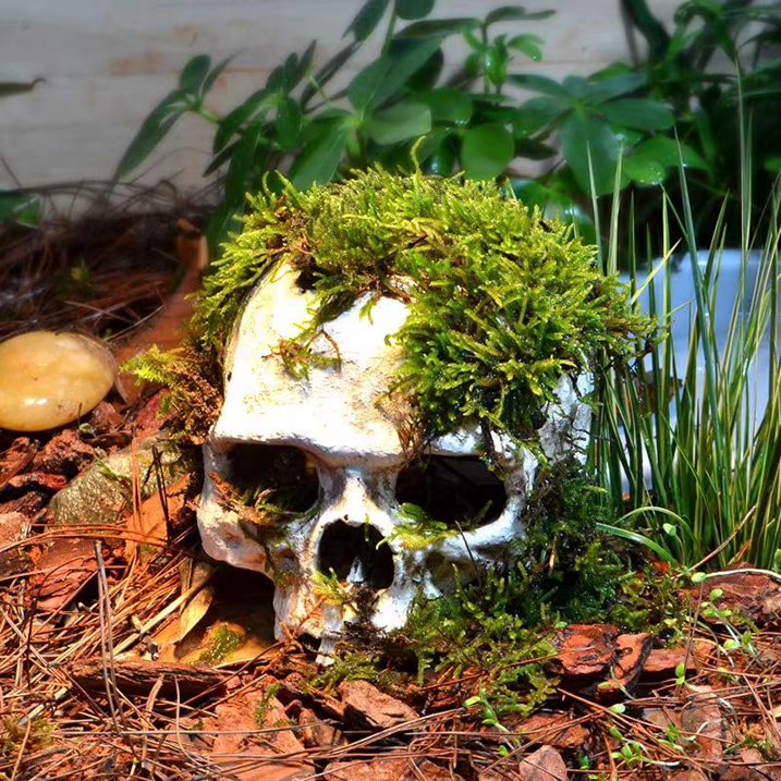 VNEKVA Aquarium Skull Decoration with Air Bubbler & USB LED Light - Halloween Décor for Freshwater & Saltwater Fish Tanks
