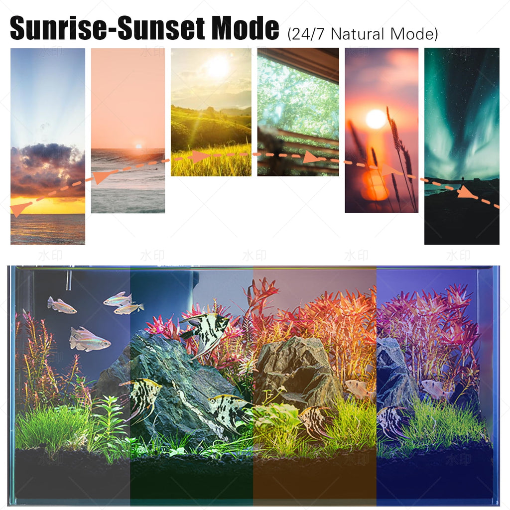 VNEKVA Aquarium LED Light with Full Spectrum RGBW + 24/7 Timer & Adjustable Brightness for 8-15in Fish Tanks