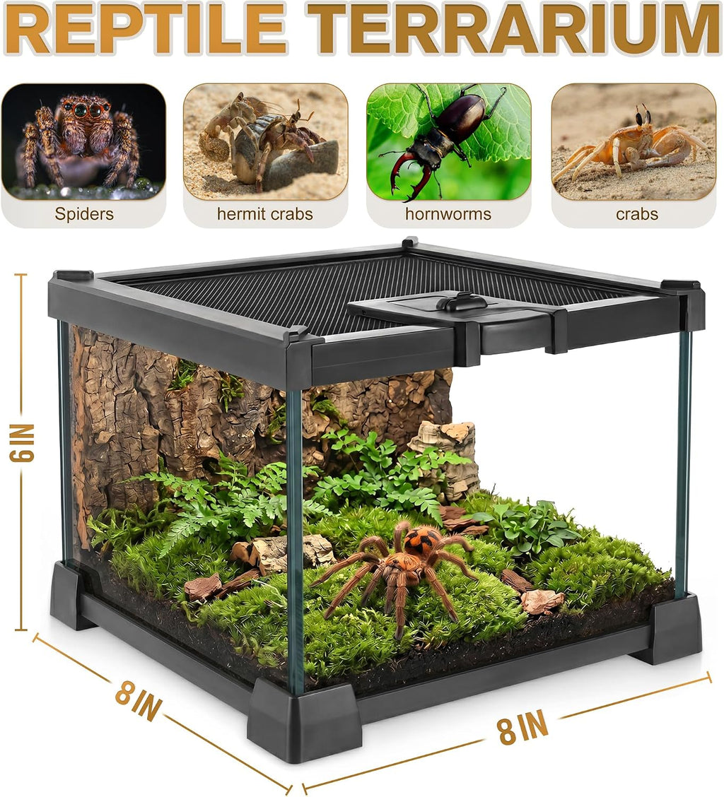 VNEKVA Small Glass Terrarium with Lockable Top, 8*8*6IN Reptile Tank for Geckos, Lizards, Snakes, Turtles & Amphibians