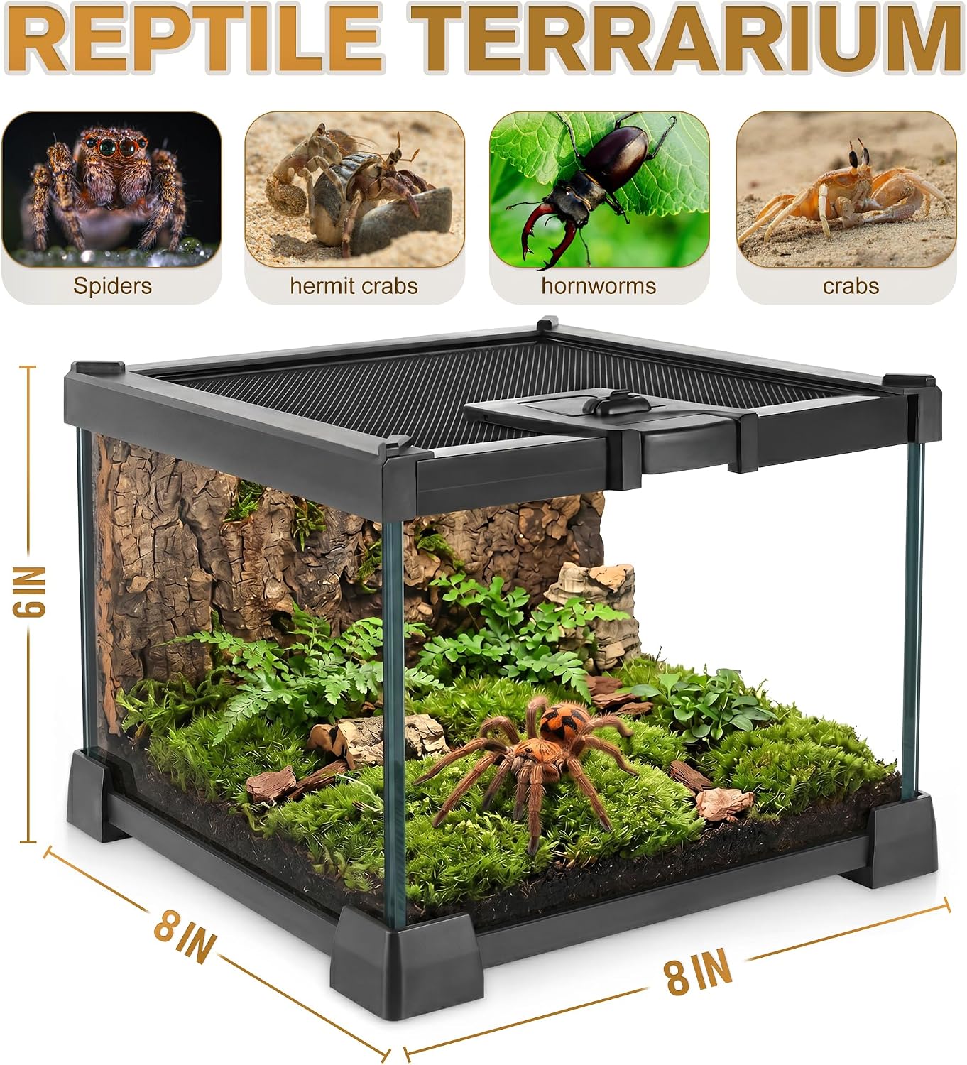 VNEKVA Small Glass Terrarium with Lockable Top, 8*8*6IN Reptile Tank for Geckos, Lizards, Snakes, Turtles & Amphibians