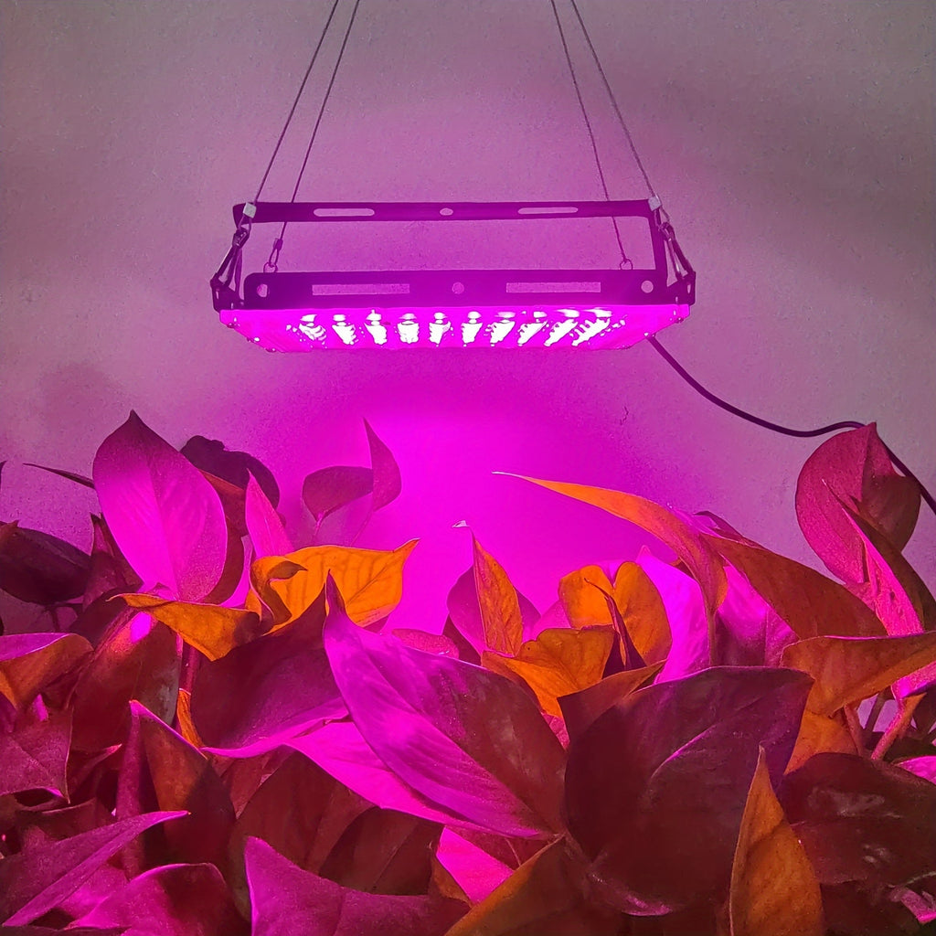 FINAQUA LED Full Spectrum Grow Light, USB Powered – Hydroponic Supplemental Lighting for Indoor Vegetables, Succulents, Flowers & Houseplants