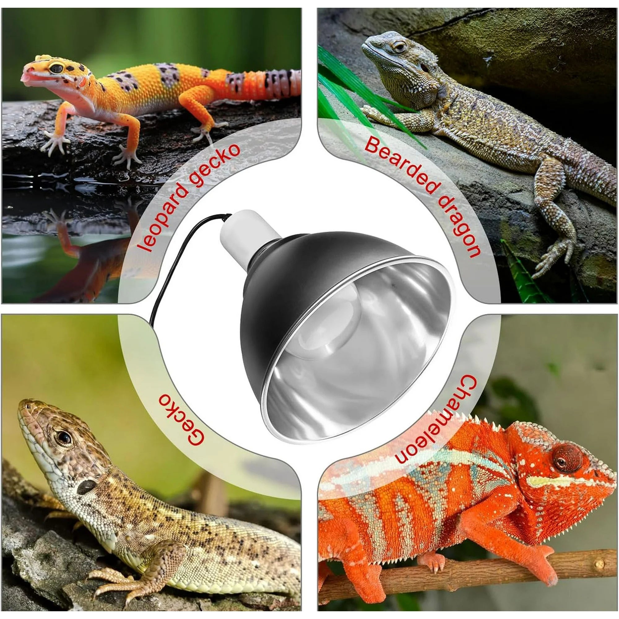 VNEKVA Reptile Heat Lamp Fixture 5.5" Deep Dome w/Switch, Supports 60W-100W - Works with All E26 UVA/UVB/Basking Bulbs