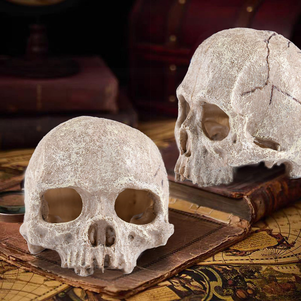 VNEKVA Aquarium Skull Decoration with Air Bubbler & USB LED Light - Halloween Décor for Freshwater & Saltwater Fish Tanks