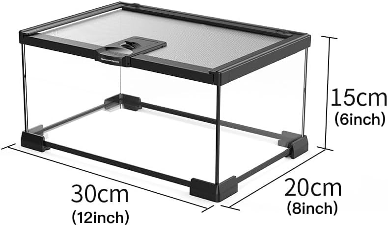 VNEKVA 12×8×6IN Square Glass Reptile Terrarium - Rainforest Landscaping Habitat for Geckos, Turtles, Spiders, Lizards, Chameleons, Snakes & Fish