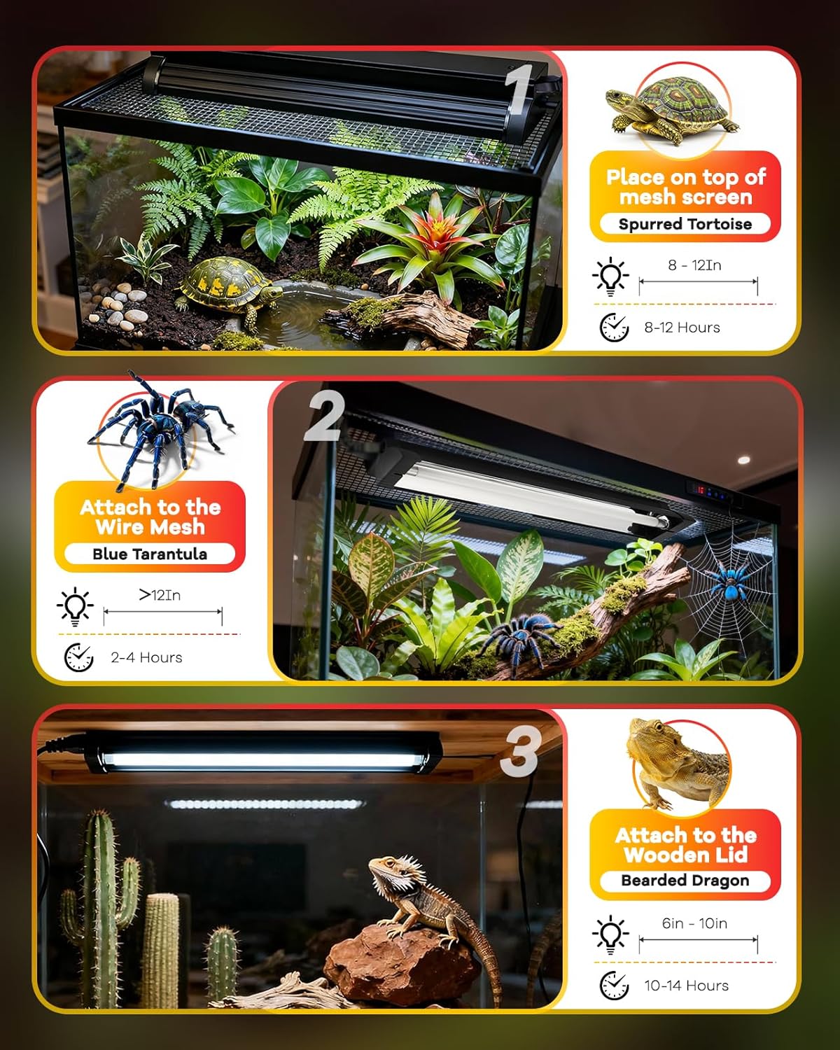 VNEKVA T5 10.0 UVB Reptile Light Combo Kit 8W - 12" Terrarium Hood with Desert Lamp for Gecko, Tortoise & Lizard