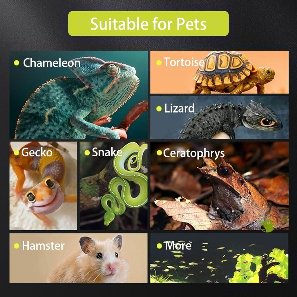 VNEKVA Square Glass Reptile Terrarium - Rainforest Landscaping Habitat for Geckos, Turtles, Spiders, Lizards, Chameleons, Snakes & Fish
