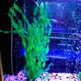10 PCS Artificial Plastic Fish Tank Plants - Aquarium Decor for Freshwater & Saltwater Tanks