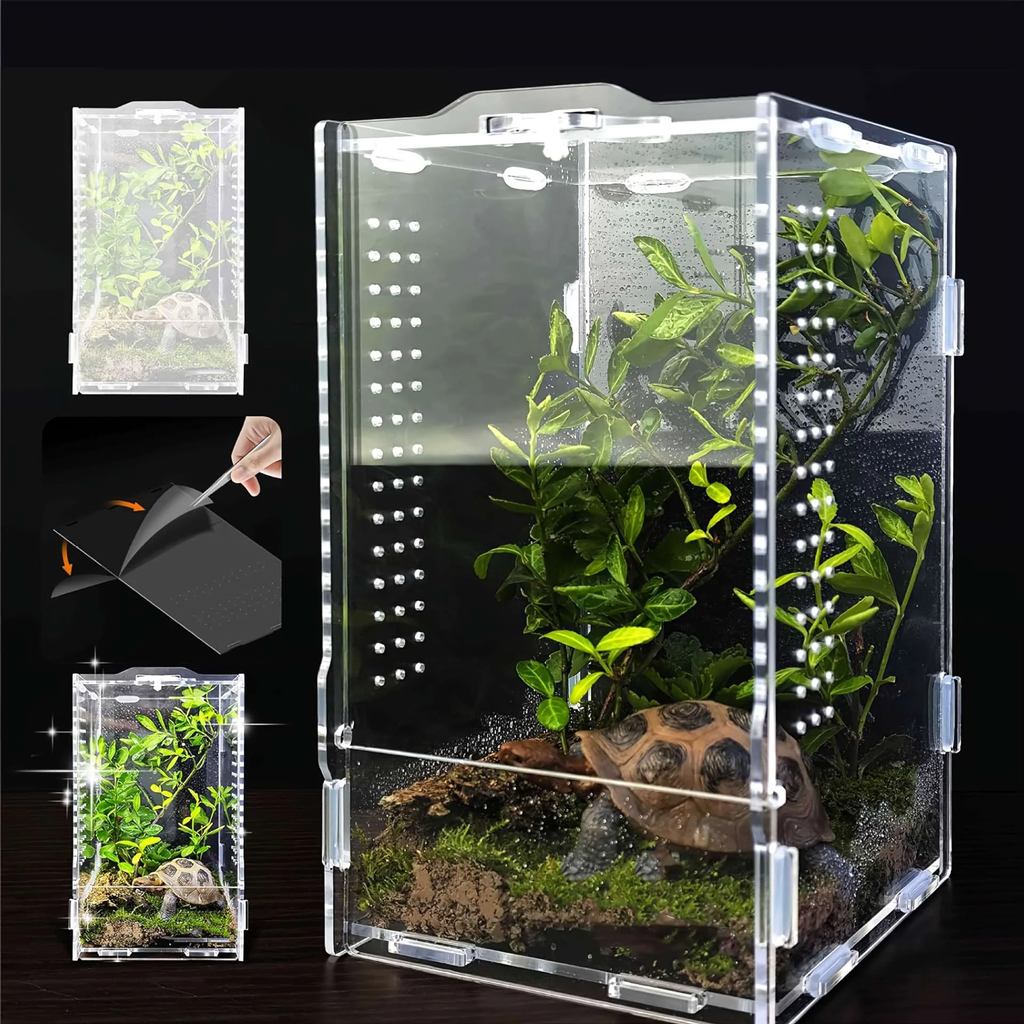 Acrylic Jumping Spider Habitat & Insect Terrarium - Enclosures for Praying Mantises, Frogs & Small Bugs